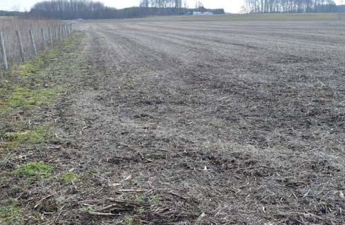 Property photo 10 - 98+/- Acres Offered in 6 Tracts or Combinations, Noble County, Indiana Farm